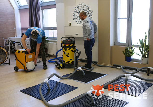 Профессиональная сушка после потопа в Подольске от 3000 руб. Быстро устраняем влагу, предотвращаем плесень и повреждения. Современное оборудование и опытные специалисты. Безопасно и эффективно.